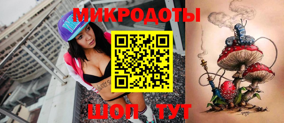 Галлюциногенные грибы Psilocybe Обь