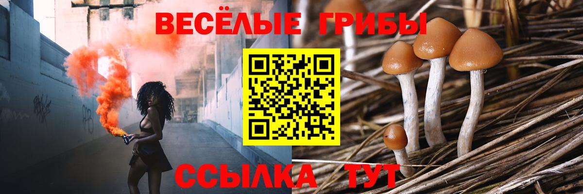 Обь  Псилоцибиновые грибы Psilocybe  Вход с VPN  Псилоцибиновые грибы MAGIC MUSHROOMS 
